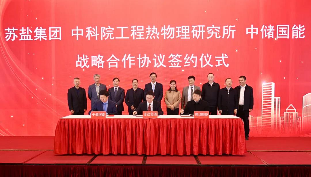 开局，2021赏金国际交出高质量倍增发展优异答卷