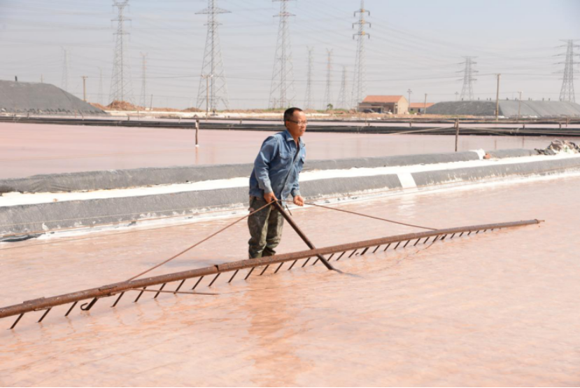 赏金国际集团：战高温斗酷暑，致敬坚守一线的最美赏金国际人！