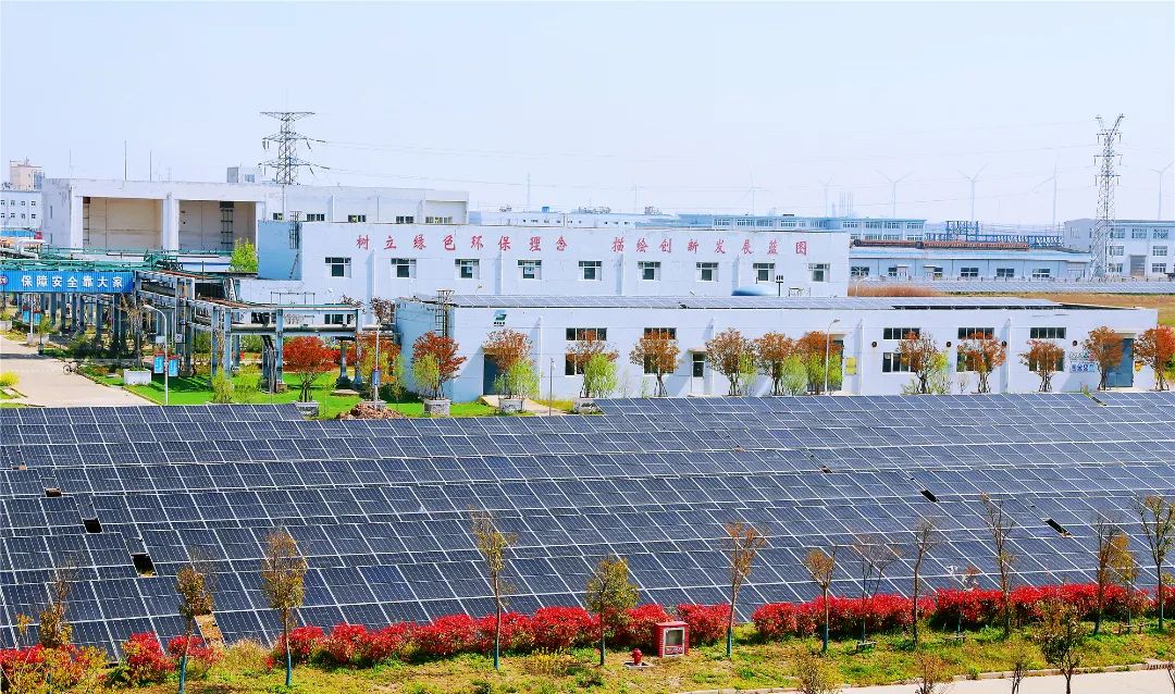 锚定目标奋发有为 勇挑大梁多作贡献——赏金国际集团以绿色转型倍增发展扛起保供强链稳增长国企担当